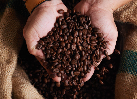 Fresh coffee beans